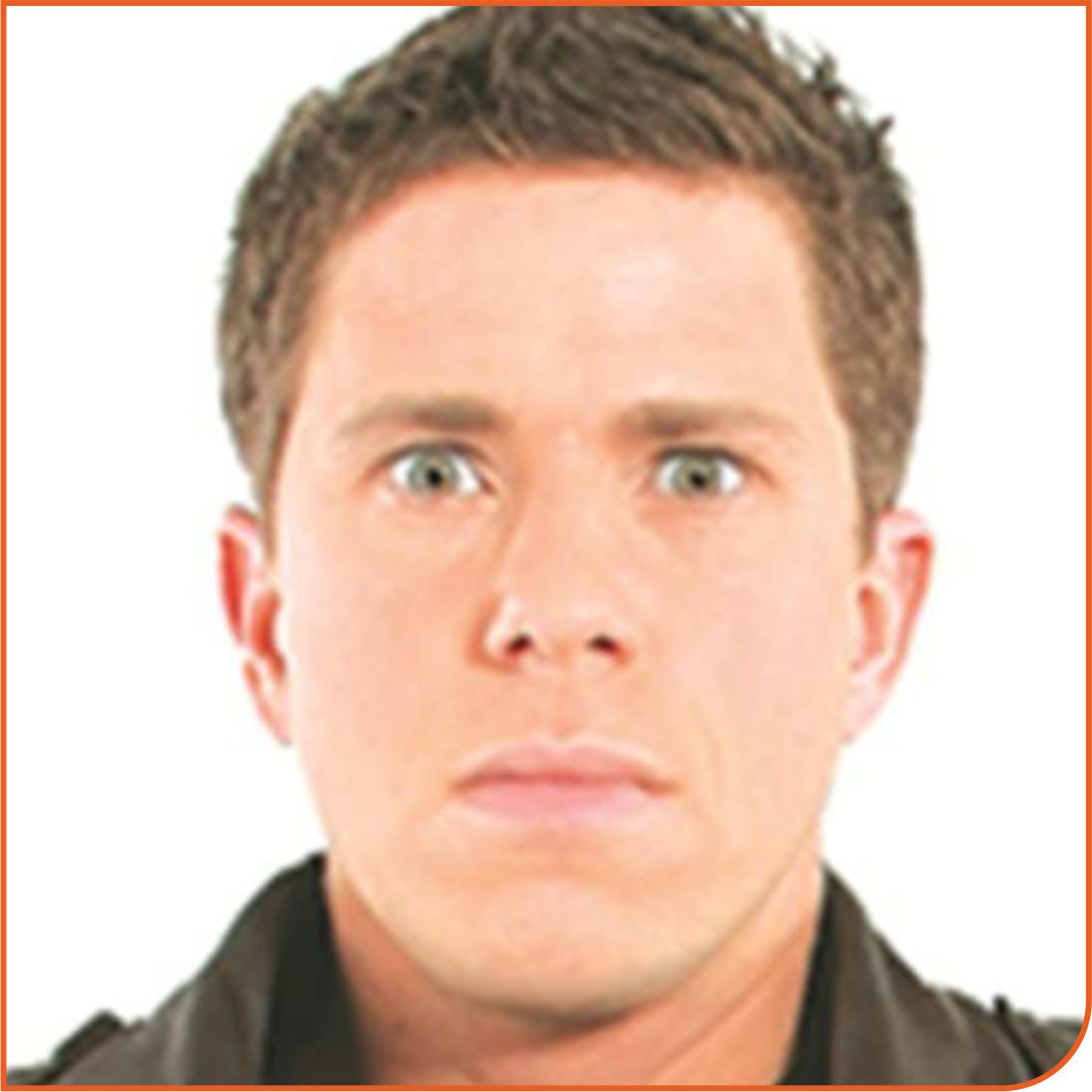 Nepo Fitz